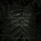50 Calm & Soft Melodies for Deep Sleep Chilling Out