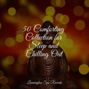 50 Comforting Collection for Sleep and Chilling Out