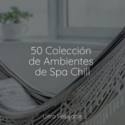 50 Colección de Ambientes de Spa Chill
