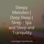 Sleepy Melodies | Deep Sleep | Sleep | Spa and Sleep and Tranquility