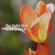 The Light That Lives Within