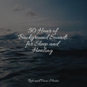50 Hour of Background Sounds for Sleep and Healing