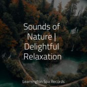 Sounds of Nature | Delightful Relaxation