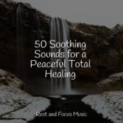 50 Soothing Sounds for a Peaceful Total Healing