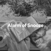 Alarm of Snooze