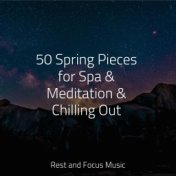 50 Spring Pieces for Spa & Meditation & Chilling Out