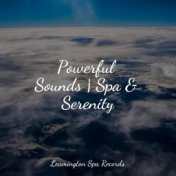 Powerful Sounds | Spa & Serenity