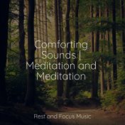 Comforting Sounds | Meditation and Meditation