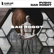 Sad Robot