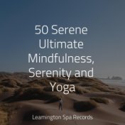 50 Serene Ultimate Mindfulness, Serenity and Yoga