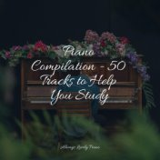 Piano Compilation - 50 Tracks to Help You Study