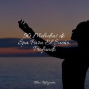 50 Melodías de Spa Para El Sueño Profundo
