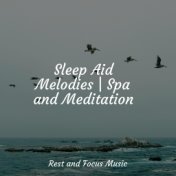 Sleep Aid Melodies | Spa and Meditation