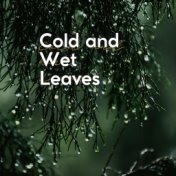 Cold and Wet Leaves