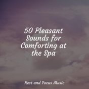 50 Pleasant Sounds for Comforting at the Spa