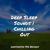 Deep Sleep Sounds | Chilling Out