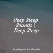 Deep Sleep Sounds | Deep Sleep