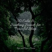 50 Calm & Soothing Sounds for Peaceful Sleep