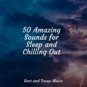 50 Amazing Sounds for Sleep and Chilling Out