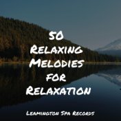 50 Relaxing Melodies for Relaxation