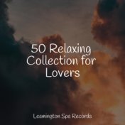 50 Relaxing Collection for Lovers