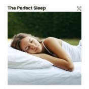 The Perfect Sleep