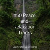 #50 Peace and Relaxation Tracks