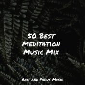 50 Best Meditation Music Mix