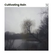 Cultivating Rain
