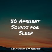 50 Ambient Sounds for Sleep