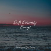 Soft Serenity Songs