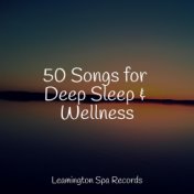 50 Songs for Deep Sleep & Wellness