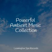 Powerful Ambient Music Collection