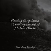 Healing Compilation | Soothing Sounds of Nature Music