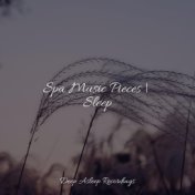Spa Music Pieces | Sleep