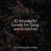 30 Wonderful Sounds for Sleep and Relaxation