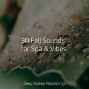 30 Fall Sounds for Spa & Vibes