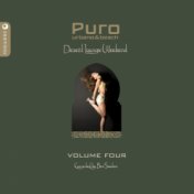 Puro Desert Lounge, Vol. 4