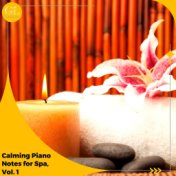 Calming Piano Notes for Spa, Vol. 1