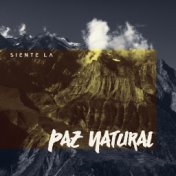 Siente la Paz Natural (Música India con Flauta e Sonidos de la Naturaleza para de Meditación y Yoga)