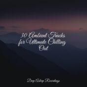 30 Ambient Tracks for Ultimate Chilling Out