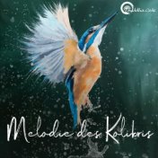 Melodie des Kolibris (Short Version)