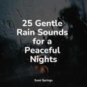 25 Gentle Rain Sounds for a Peaceful Nights