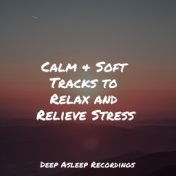 Calm & Soft Tracks to Relax and Relieve Stress