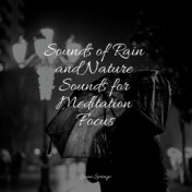 Sounds of Rain and Nature Sounds for Meditation Focus