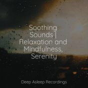 Soothing Sounds | Relaxation and Mindfulness, Serenity