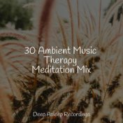 30 Ambient Music Therapy Meditation Mix