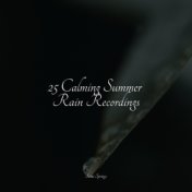 25 Calming Summer Rain Recordings