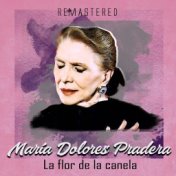 La Flor de la Canela (Remastered)