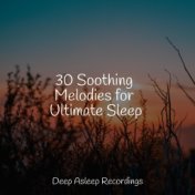 30 Soothing Melodies for Ultimate Sleep